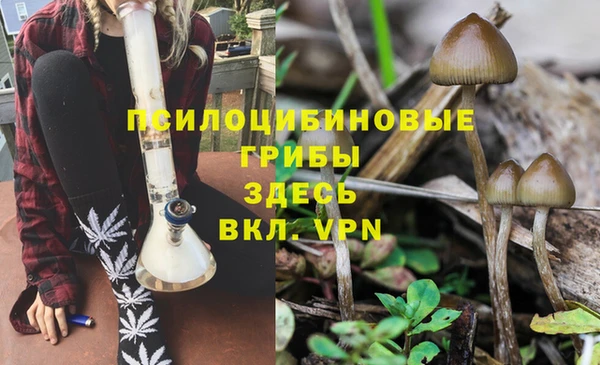 бошки Абинск